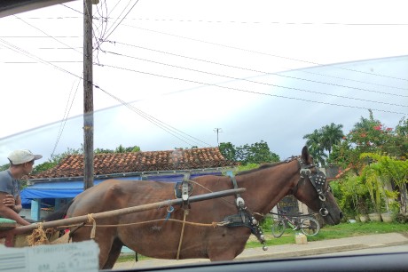 Vinales (8)