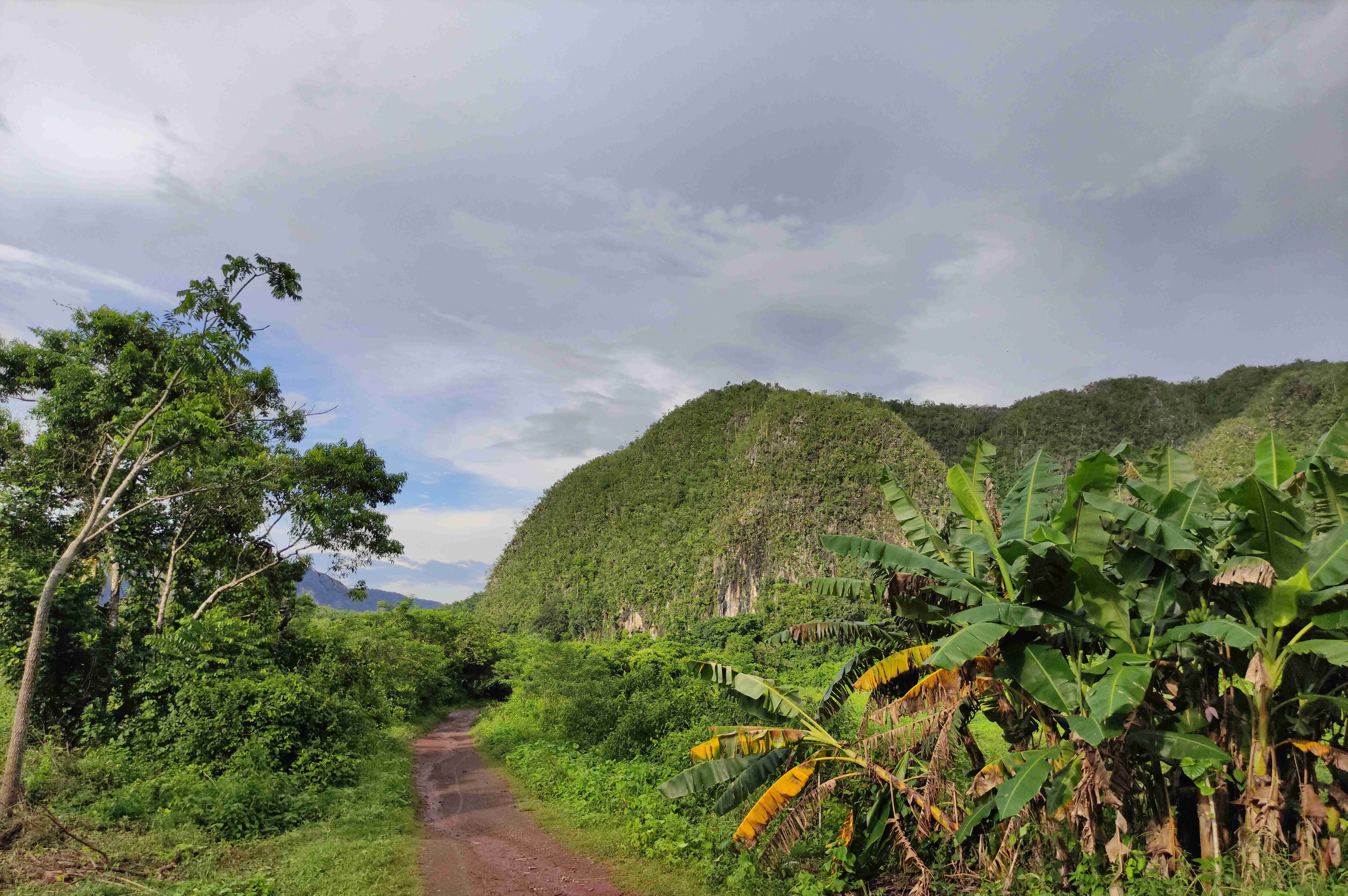 Vinales (1)