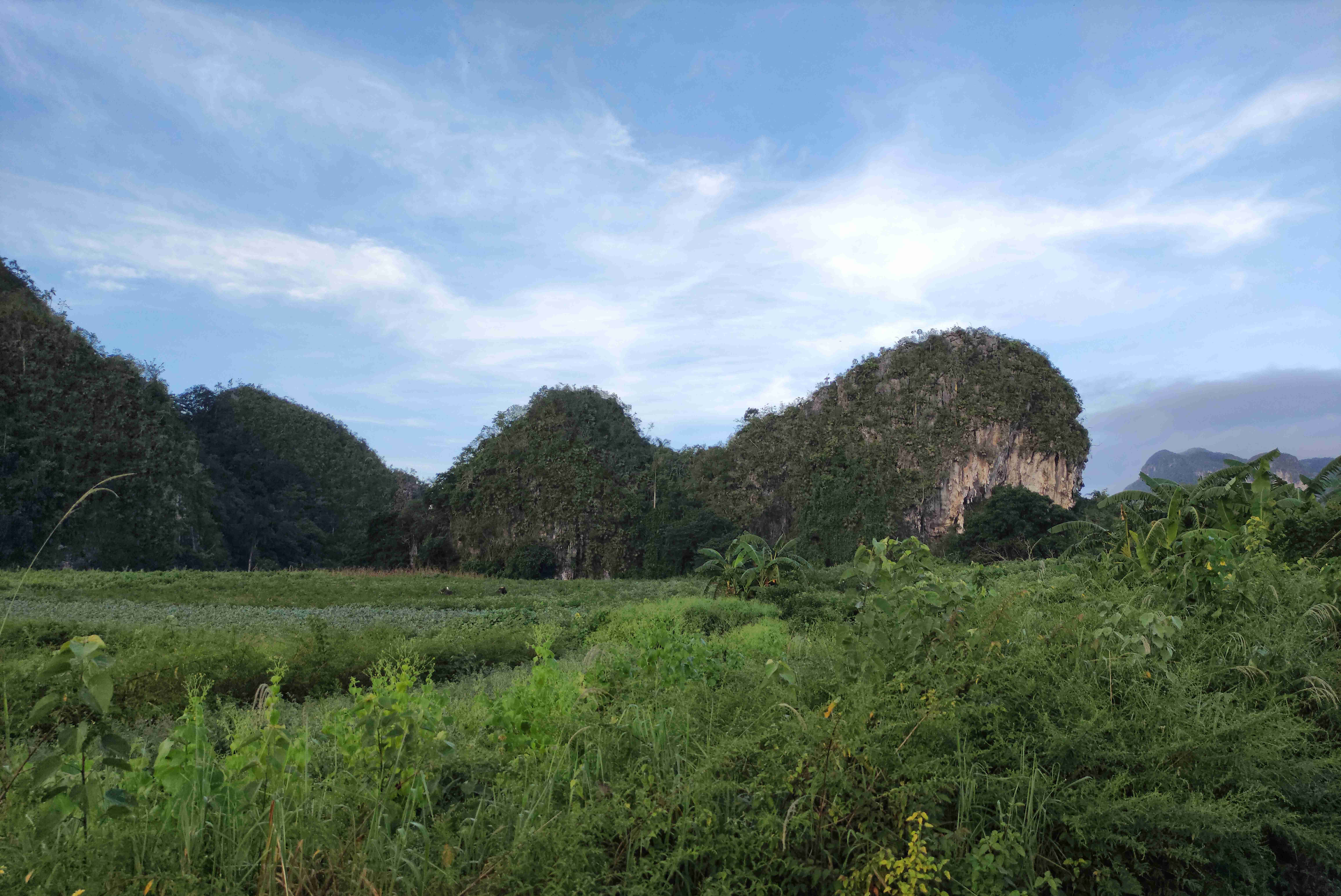 Vinales (3)